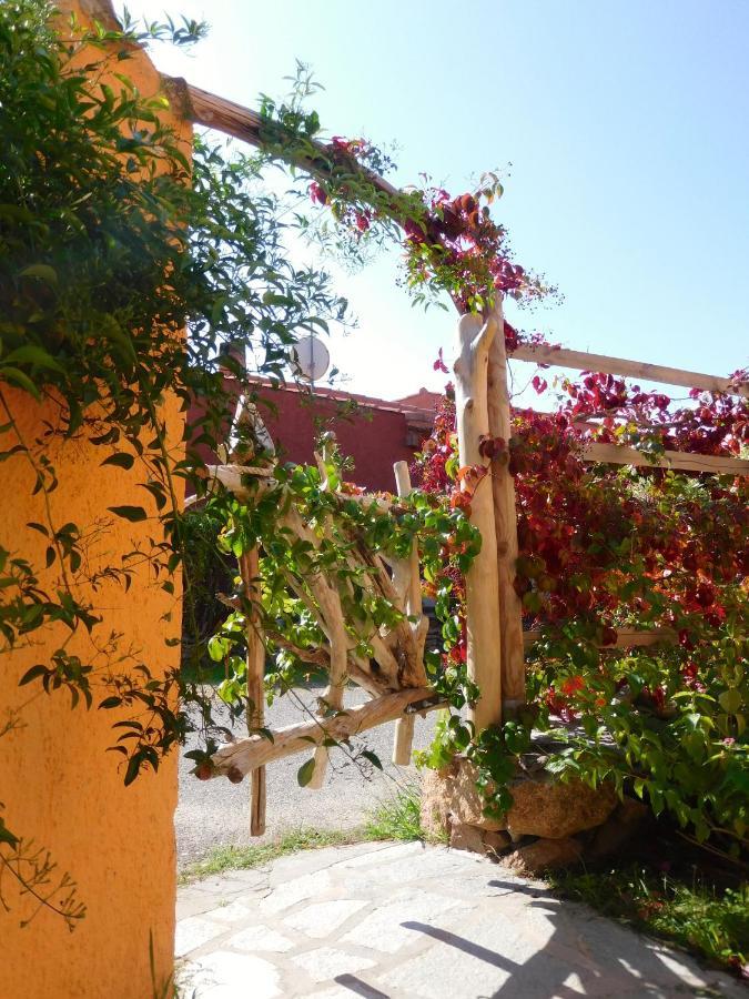 Residence La Pineta Будони Екстериор снимка