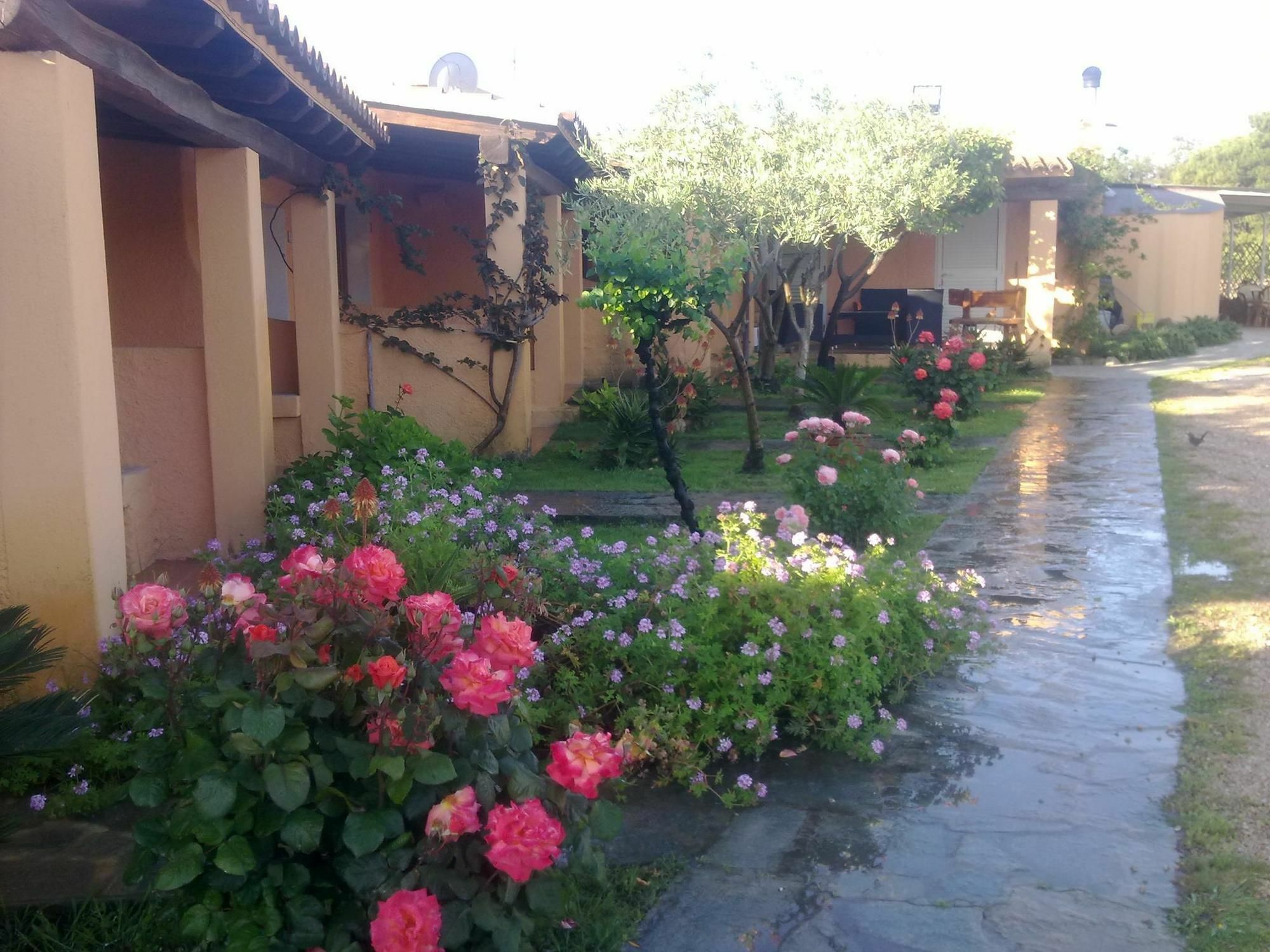 Residence La Pineta Будони Екстериор снимка